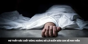 Mơ Thấy Xác Chết Đừng Hoảng Đó Là Điềm Báo Số May Mắn